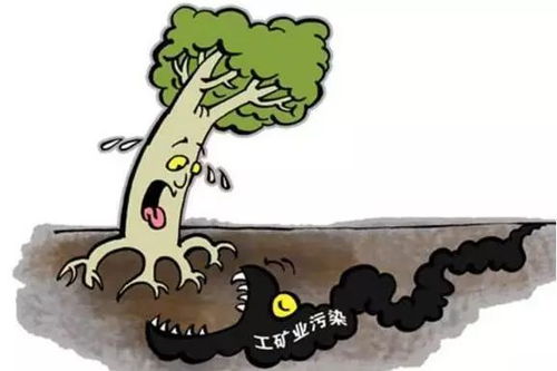 我國推進土壤修復(fù)的主要舉措與成效