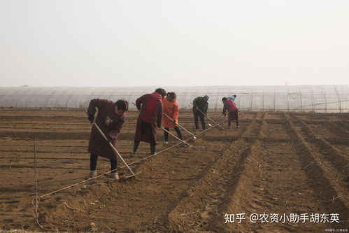 土壤污染的預(yù)防、防治與修復(fù) 礦源黃腐酸鉀的作用及實際方案