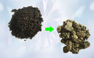 立昌環境 深耕生態修復領域的綠色先鋒