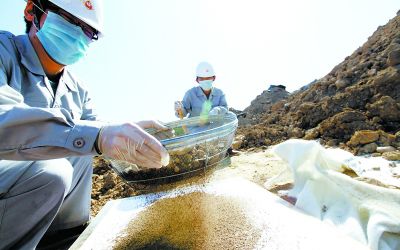 拯救大地的疤痕 你不可不知的土壤污染修復之道