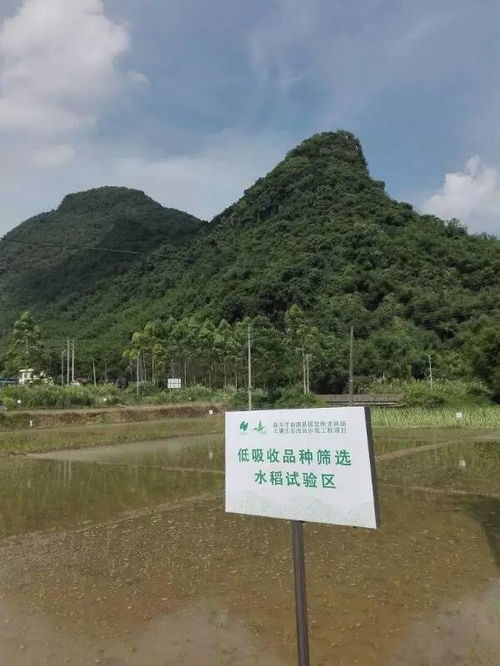 從理論到實踐 第六期農田及礦山周邊重金屬污染土壤治理修復技術與方案編制培訓圓滿落幕